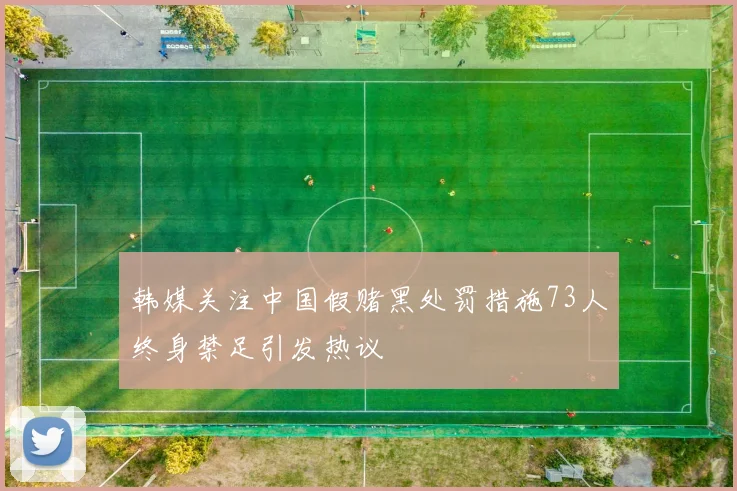 韩媒关注中国假赌黑处罚措施73人终身禁足引发热议