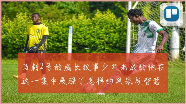 马刺2号的成长故事少年老成的他在这一集中展现了怎样的风采与智慧